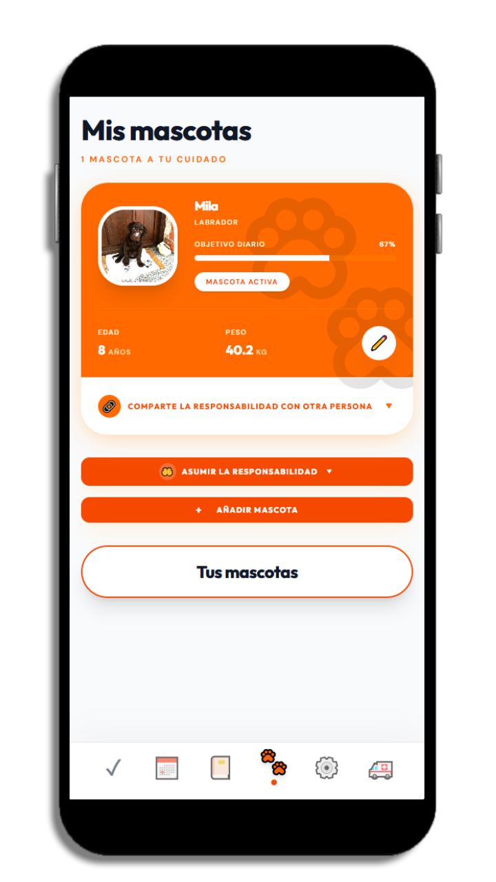 Petuvo – Cuidar juntos de una mascota